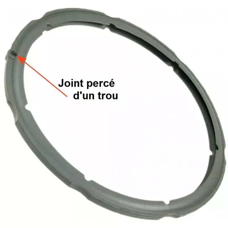 sa-980158 Joint de couvercle pour cocotte minute Délicio 4049736