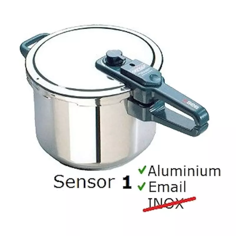 Seb Joint silicone pour cocotte-minute, Diamètre 24,5 cm, Compatible avec  les autocuiseurs Clipso Essential 6 L, 7,5 L, 9 L, Noir X1010006 :  : Cuisine et Maison