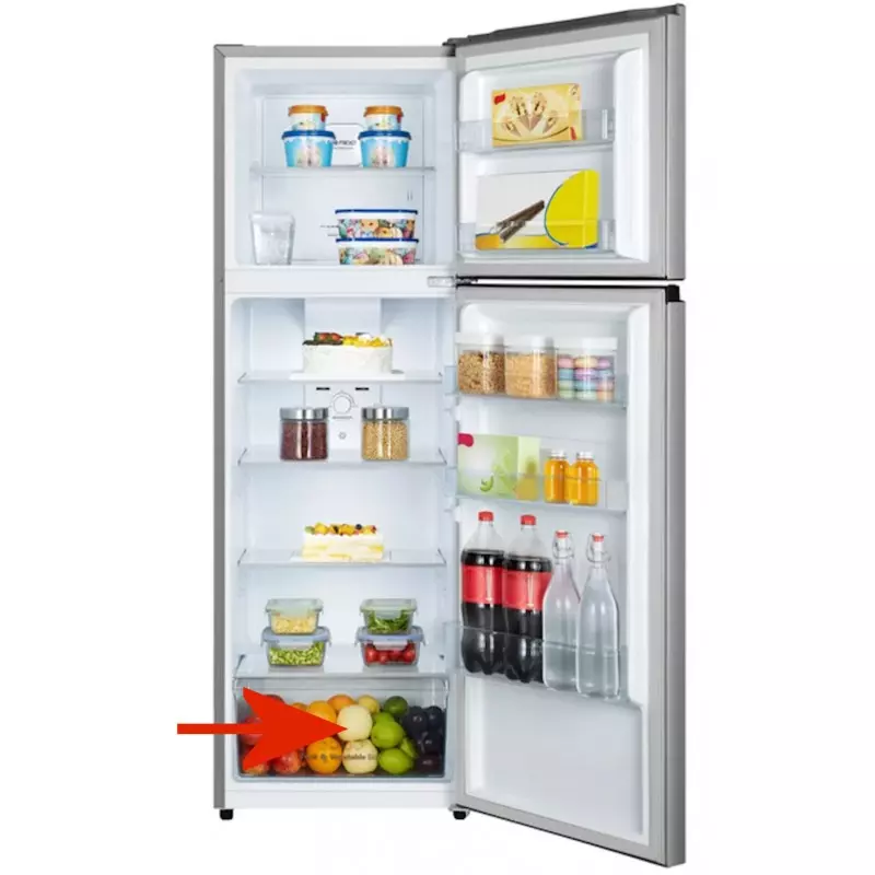 Bac à légumes réfrigérateur Essentiel B ERDV165-55s2