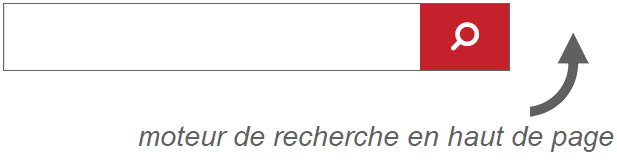 moteur recherche en haut de la page.png